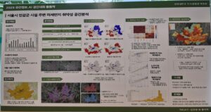 전북대학교 대상 출품작